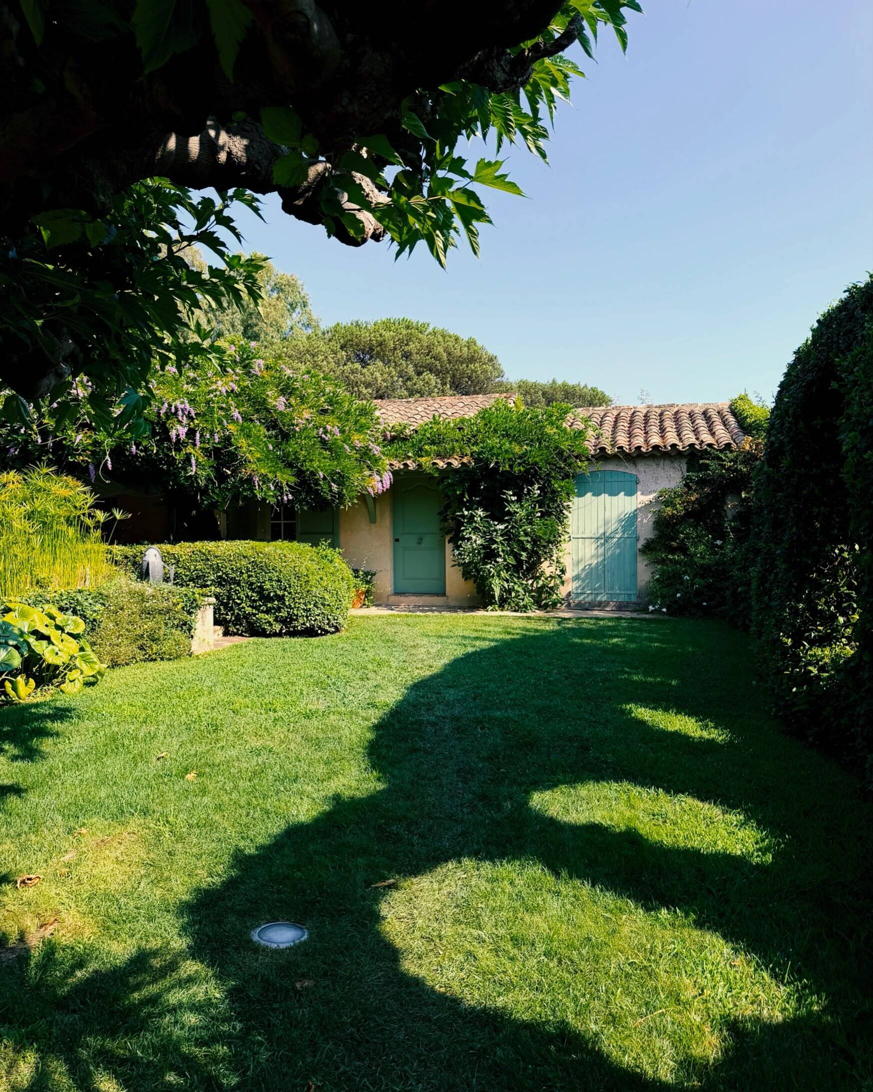 Jardin d’une maison du Sud au soleil : pelouse, ombre des arbres, façade aux volets verts.